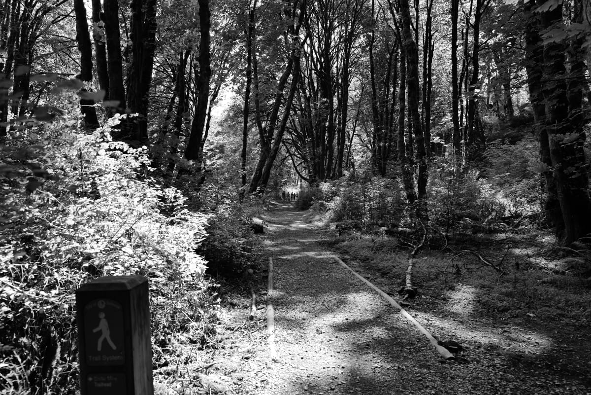 Bit of a hike and state fair